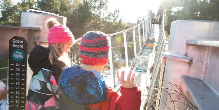 Two children play a game throwing snowballs into buckets set up on a suspended walkway on the Wild Center's Wild Walk