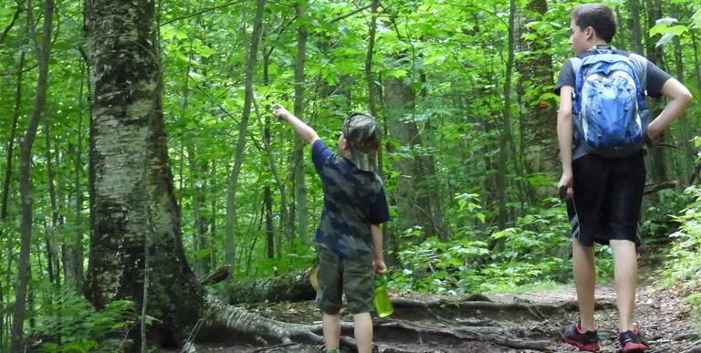 Enlist the youngest hikers to look for trail markers.