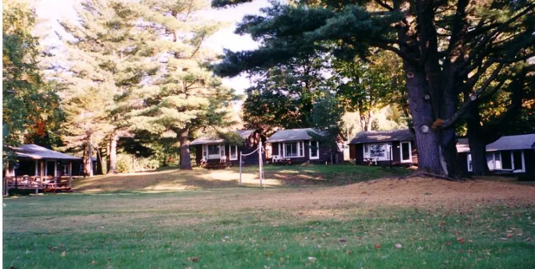 A brown house with white trim tucked in the pine forrest beyond a large lawn.