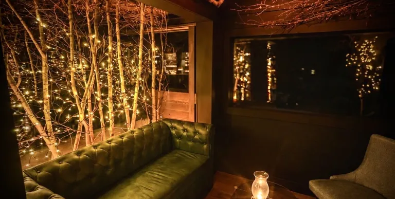 Large leather couch with glass coffee table and twinkle lights