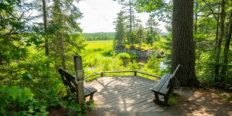 Scenic overlook at Paul Smith's VIC