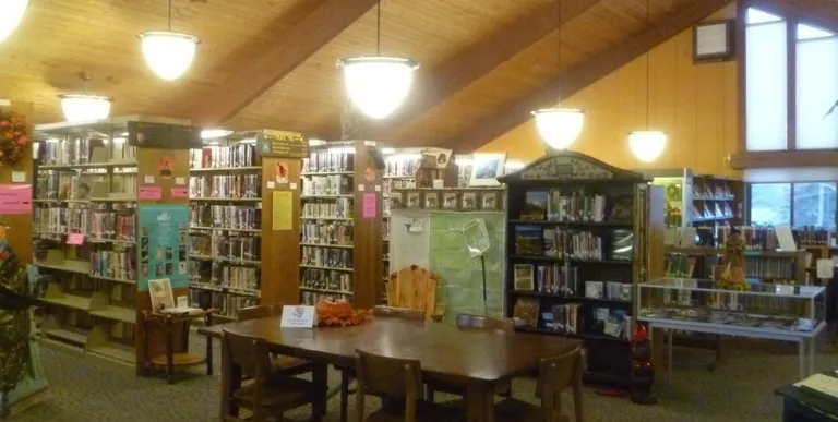 Shelves and shelves of books