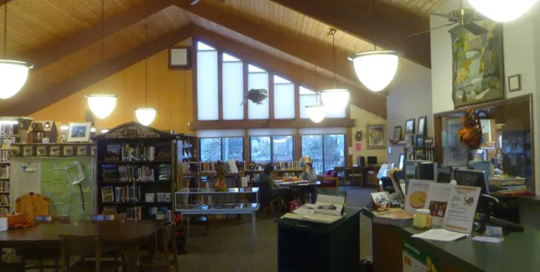 The wall of windows illuminates the shelves of books