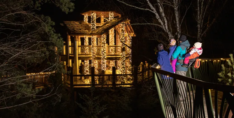  where people walk along the treetops of the Adirondack forest