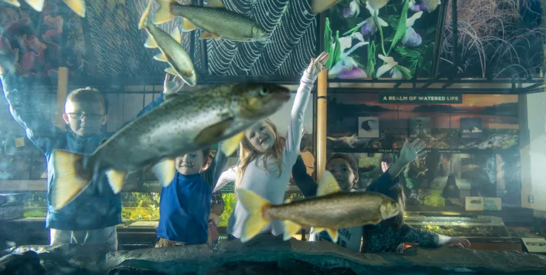 Three young museum attendees observe one of The Wild Center's river otters swimming through his enclosure