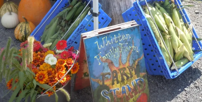 Painted sign for the ADK Food Hub.