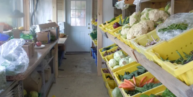Shelves of buckets full of veggies