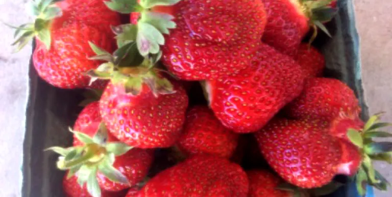 Ripe red strawberries