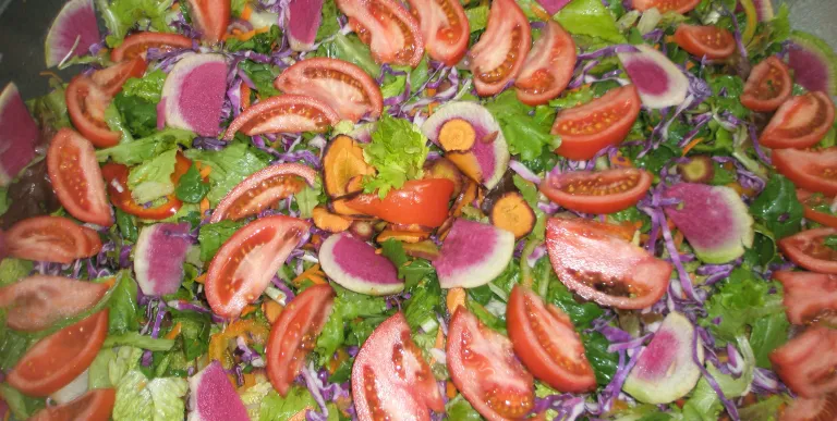 Large salad with tomatoes and red onion