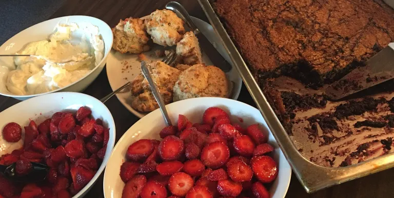 Strawberry shortcake bar