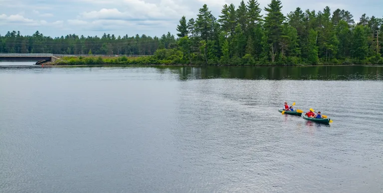 Kayakers