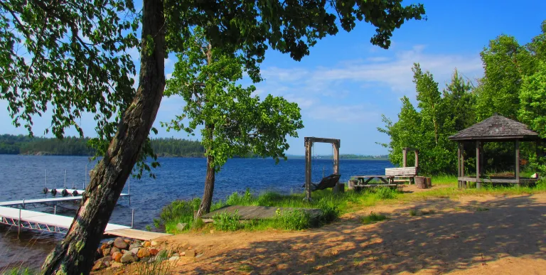A large shade tree by the lake.