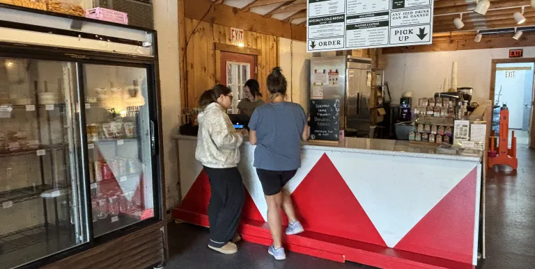  plants and natural light