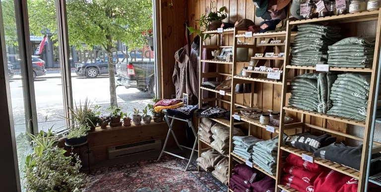 A sunroom with lush carpet