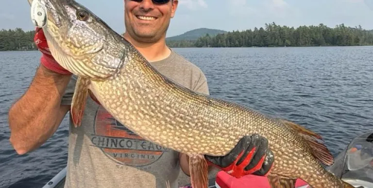 A smiling man holds a huge pike