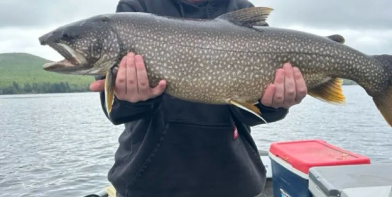 A smiling kid standing on a boat holding a large fish.