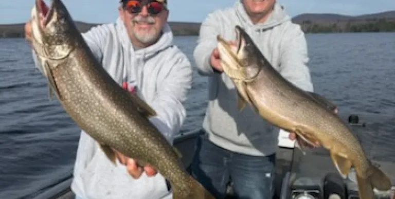 Two men each holding a huge fish.
