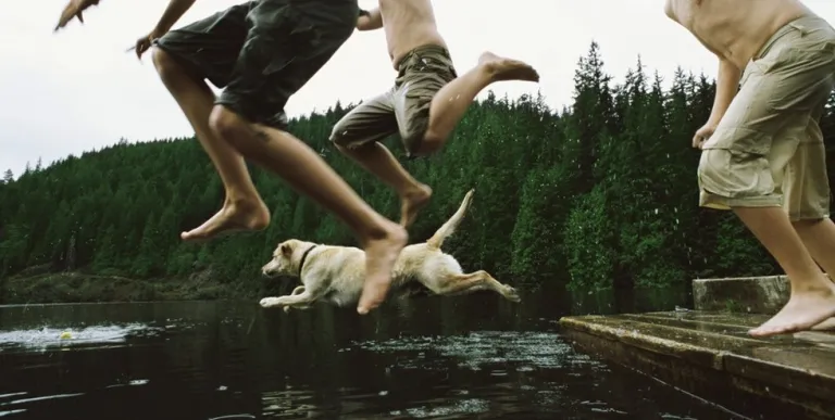 Kids and a dog jump from a dock into the water