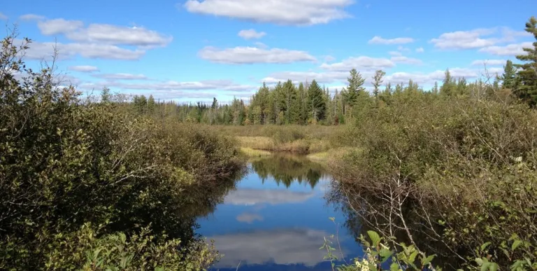 The unique beauty of Massawepie via land or water.