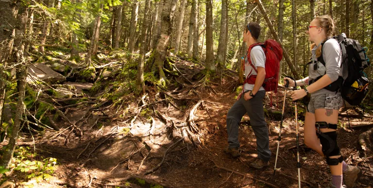 Two hikers going up a trail