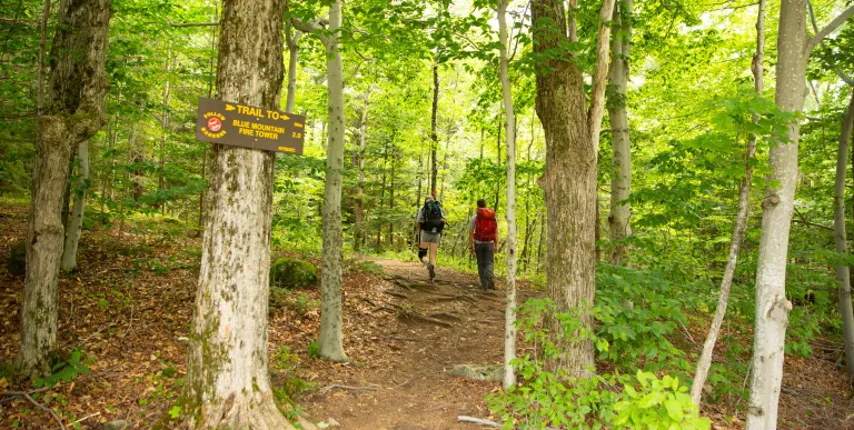 Two hikers on a trail