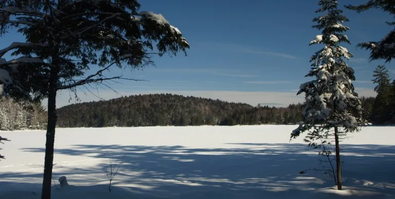 A wonderful view over wilderness vista in winter.
