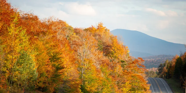 This wilderness area is a great place to view fall foliage.