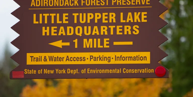 Find parking