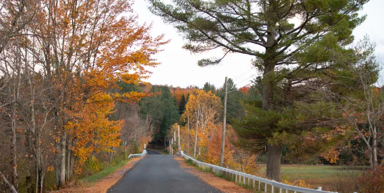 This road leads to adventure!