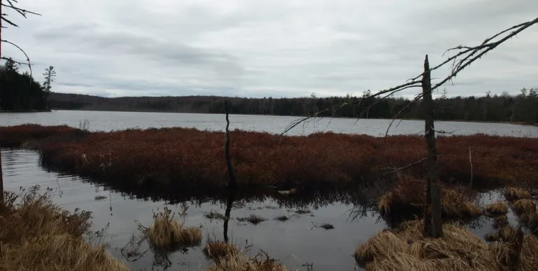 This scenic view includes a lean-to for camping.