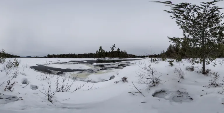 Winter brings lovely views of the Raquette River.