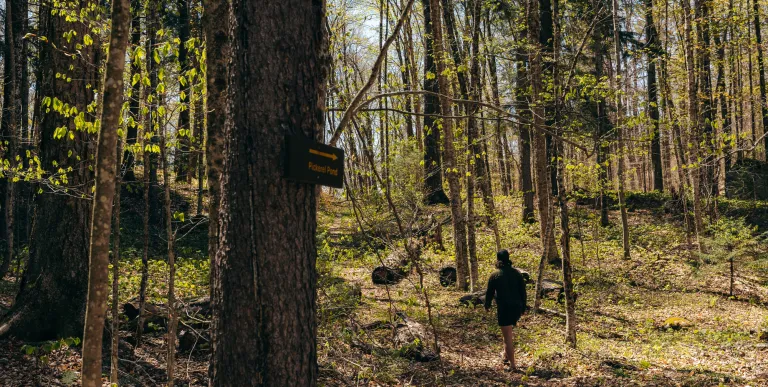 A hiker walks in front of a sign for Pickerel Pond