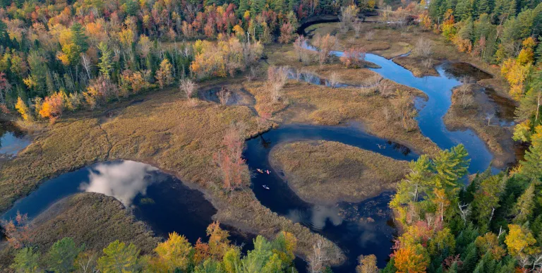 Paddlers on the winding Stony Creek