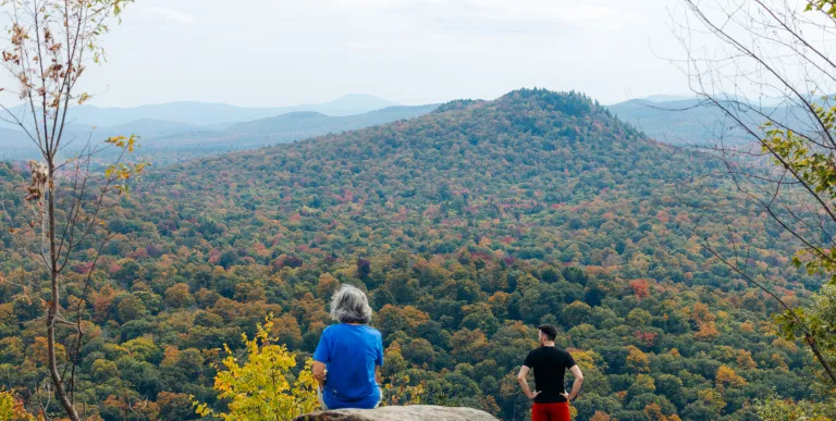A couple people looking out over the wilderness