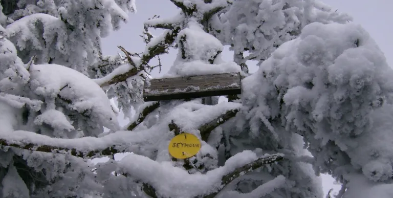 The summit is wooded