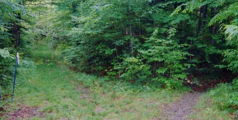 The Seymour herd path is on the right.