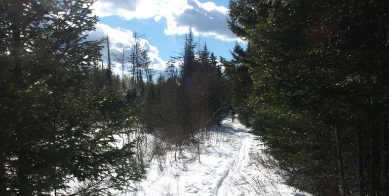 Set out in the winter and try some cold weather camping.