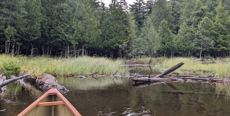 The nose of a canoe in the water