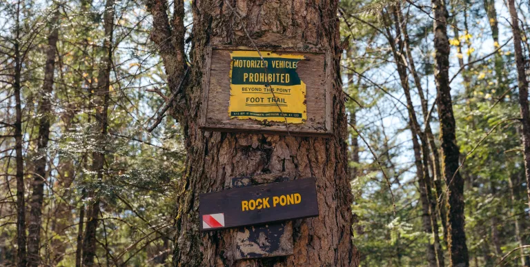 A yellow and brown sign for rock pond on a tree
