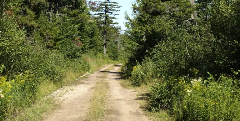 An old dirt road