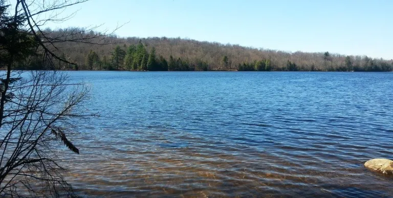A lakeside view