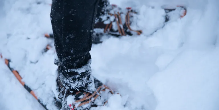 Snowshoes in the snow