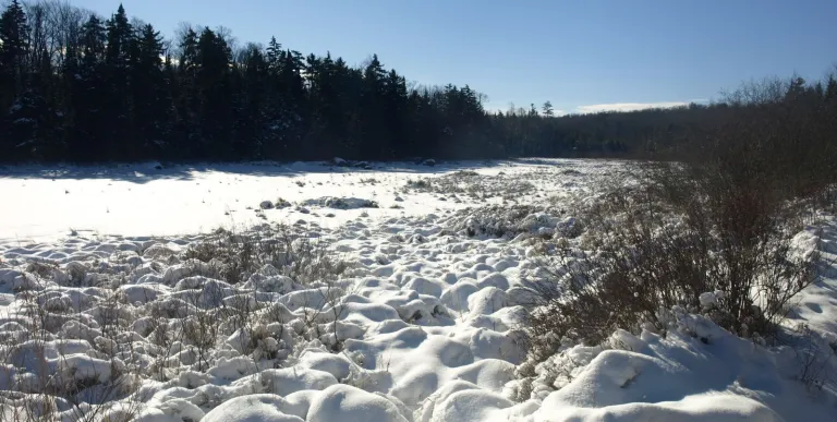 The frozen Oswegatchie River.