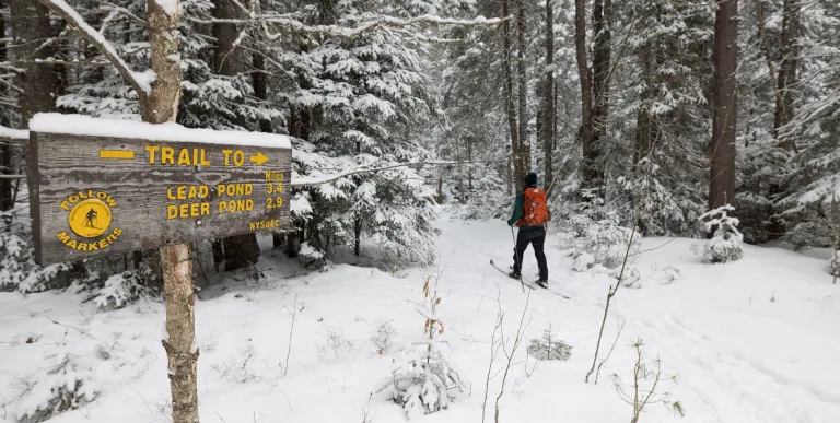 A skier at a junction