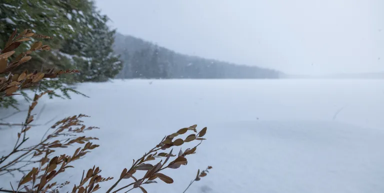 A frozen pond