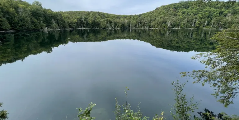A view of a pond reflecting green trees and hills