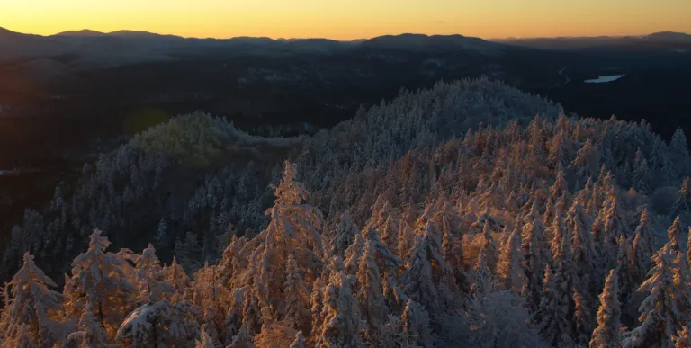 Bring headlamps for dawn and dusk photos.