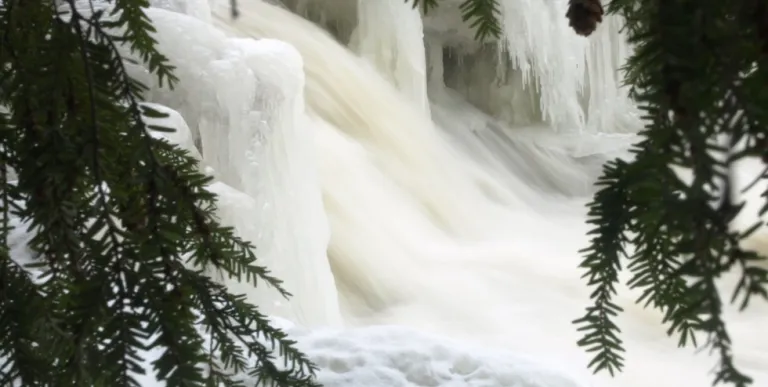 Bring a zoom lens to get the best views.