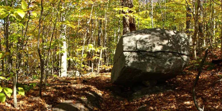 A big boulder in the woods
