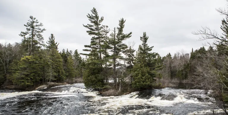 The spring melt makes for spectacular whitewater action.